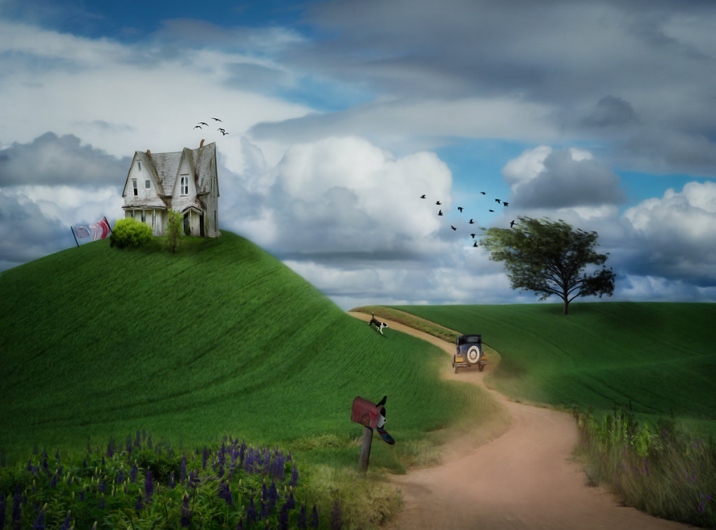 Wandering Home